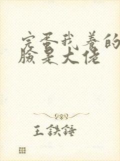 完蛋我养的小白脸是大佬