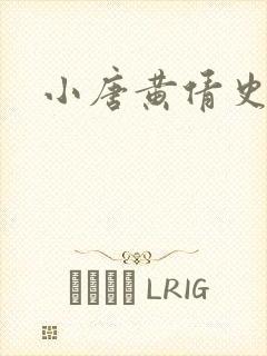 小唐黄倩史封面