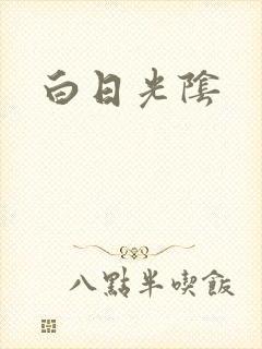 白日光阴封面
