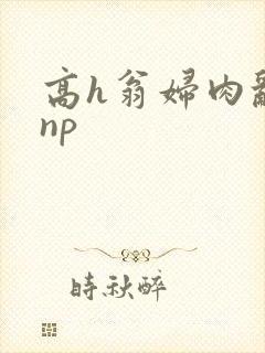 高h翁妇肉乱文np封面