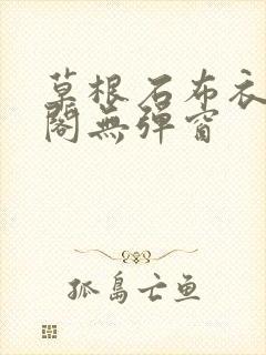 草根石布衣笔趣阁无弹窗