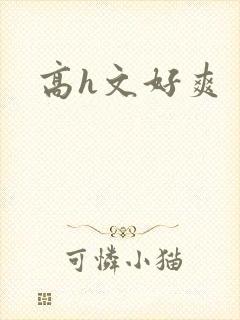 高h文好爽