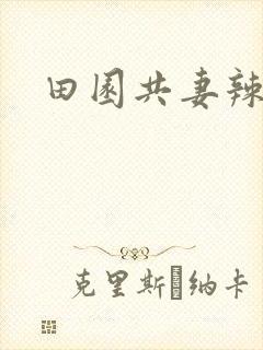 田园共妻辣