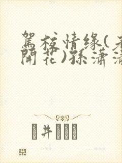 驾校情缘(老树开花)孙潇潇笔趣阁