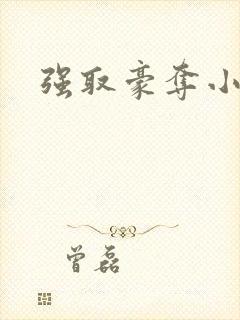 强取豪夺小说封面