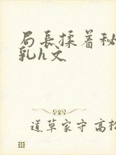 局长揉着秘书的乳h文封面