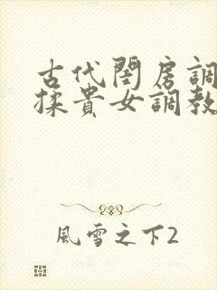 古代闺房调教h揉贵女调教记封面