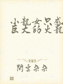 小龙女只感觉那巨大的火龙枪