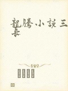龙腾小说三宝局长封面