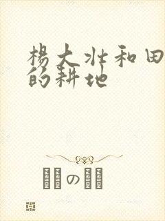 杨大壮和田桂花的耕地封面