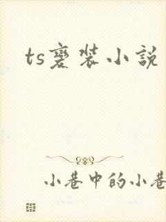 ts变装小说