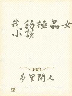 我的极品女老师小说