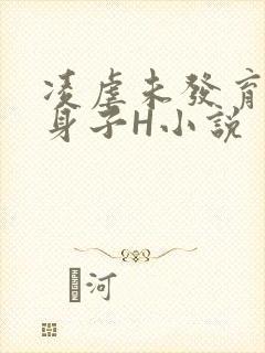 凌虐未发育的小身子H小说