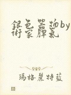 银色器物by艺术家脾气