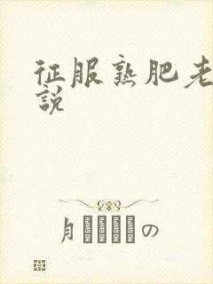 征服熟肥老妇小说封面