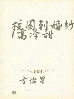 校园到婚纱1V1高冷甜