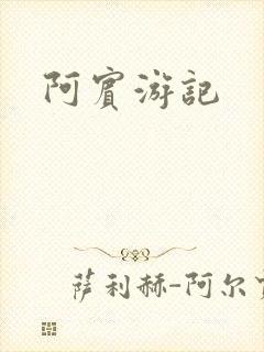 阿宾游记