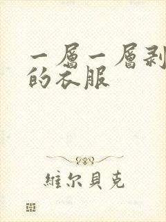 一层一层剥开你的衣服