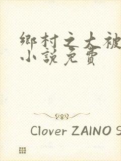 乡村之大被同眠小说免费