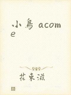 小鸟 acome