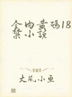 全肉黄码18无禁小说