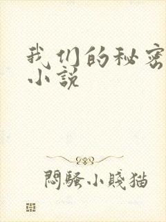 我们的秘密泰剧小说