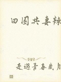 田园共妻辣