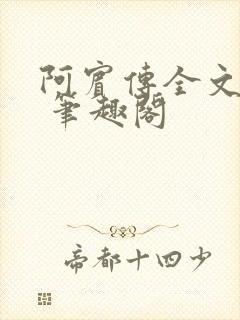 阿宾传全文阅读 笔趣阁