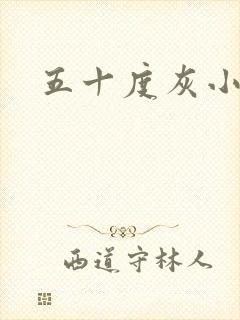 五十度灰小说封面