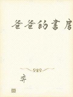 爸爸的书房小说