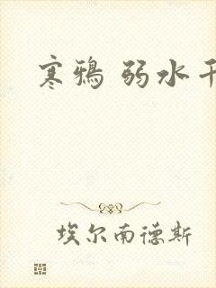 寒鸦 弱水千流