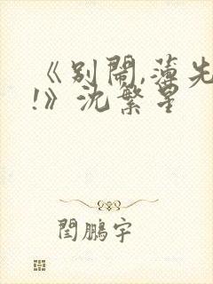 《别闹,薄先生!》沈繁星