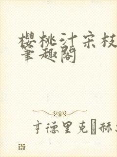 樱桃汁宋枝江野笔趣阁封面