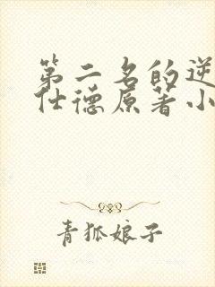 第二名的逆袭高仕德原著小说