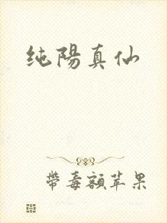 纯阳真仙