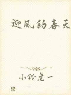 迎风的春天封面