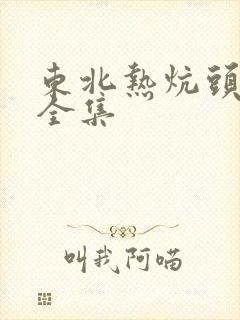 东北热炕头小说全集封面