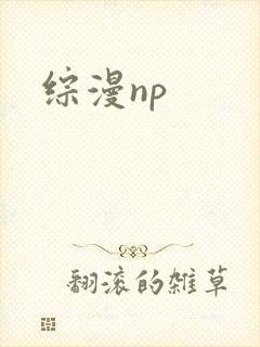 综漫np