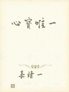 心宝唯一