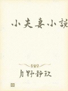 小夫妻小说