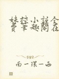 妹控小说全文免费笔趣阁在线阅读封面