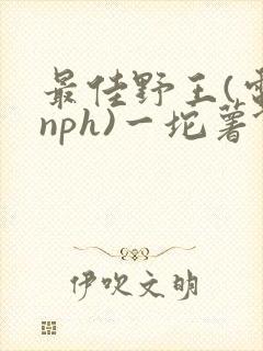 最佳野王(电竞nph)一坨薯饼