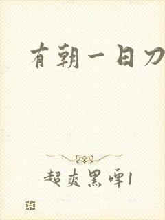 有朝一日刀在手封面