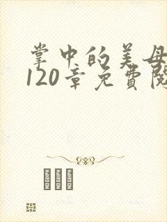 掌中的美母版主120章免费阅读
