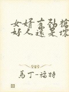 女婿有劲枪枪是好人还是坏人