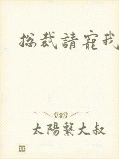 总裁请宠我封面