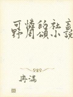 可怜的社畜 商野周颂小说