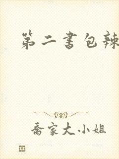 第二书包辣文