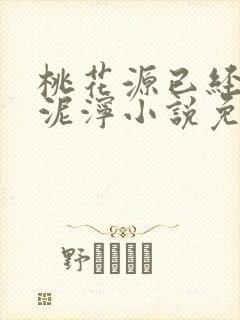 桃花源已经一片泥泞小说免费封面