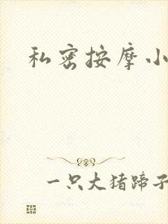 私密按摩小说